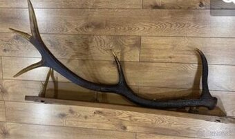 Vešiak na kabáty Veľký paroh / parožie na podstavci 90cm