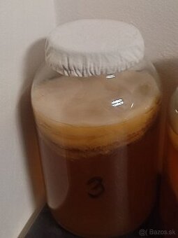 Kombucha