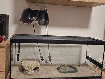 Terarium pre agamu