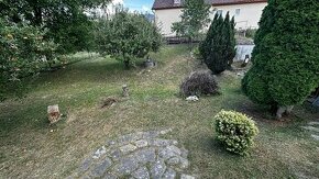 Stavebný pozemok v tichej dedine Kokošovce - 1