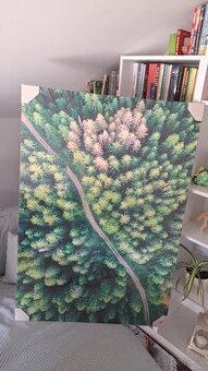 Obraz stromy zelený pekný nový zabalený