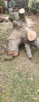 Orech drevo, palivové drevo, stolárstvo