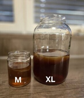 Kombucha, čínska huba, Scoby