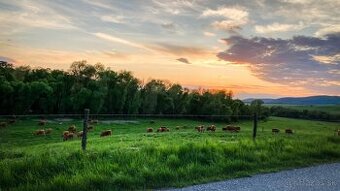 Vagrinec – 9.775 m2 ORNÁ PÔDA a LESY - Na predaj