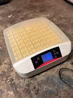 Automatická liaheň na 56 vajec