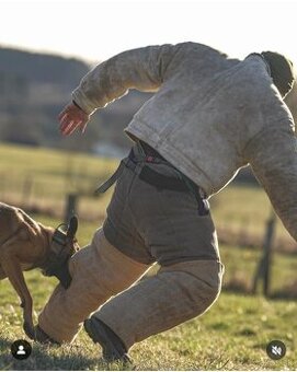 Kúpim mladých psov