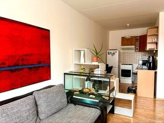 1,5 izbový byt Bukovecká, Košice nad Jazerom