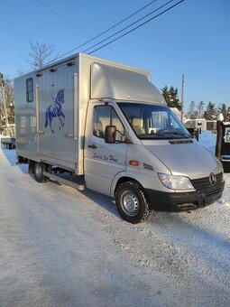 Mercedes prepravnik na kone