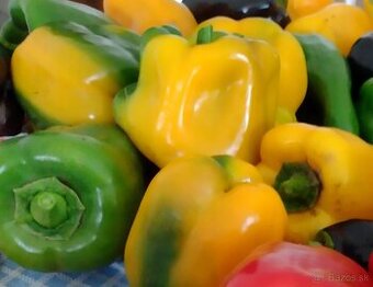 Predám semienka papriky