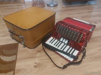 Harmonika Delicia Junior 4