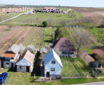 Výhodná ponuka Vinica a viničný dom na predaj