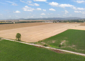 PREDAJ VEĽKÝ POZEMOK - TRNAVA - ZVONČÍN - 147.000 m²