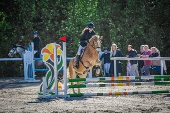 Kllisna hafling, Pony B