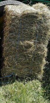 predam malé balíky seno 18 kg