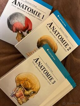 Anatomie Čihák 1,2,3