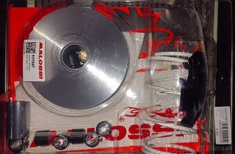 Variator malossi