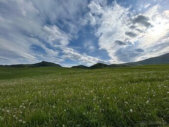 Investičný pozemok v Žaškove na predaj
