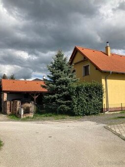 Darujem smrek