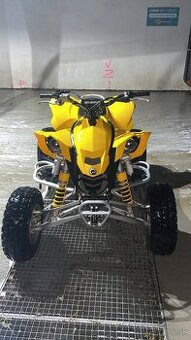 Can am ds 450