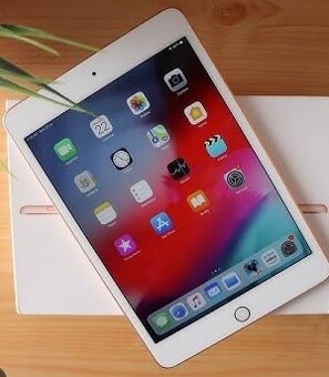 redam iPad Mini 5 WiFi + Cellular, 4G/LTE.