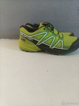 Salomon