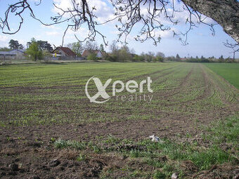 Predaj pozemok v celku Orná pôda 46.000m2 kataster Čakany ok