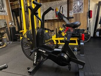 Rogue Echo bike