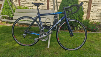 SPECIALIZED