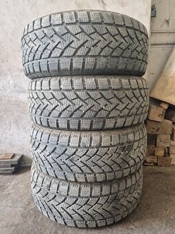 Windforce Snowblazer 205/55 R16 91H