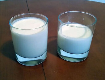 Tibetská huba - kefírové zrná - 1