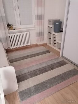 Koberec pasik 160x220