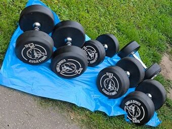Gorilla Sports jednoručky 2x25kg