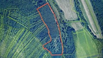 Lesný pozemok -5ha,podiel 1/1