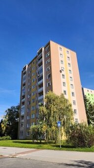 Krásny svetlý zrekonštruovaný  1-izbový byt - Trieda SNP