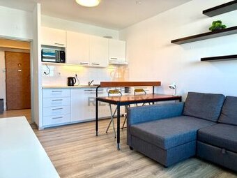 Na prenájom 1 izbový byt, loggia, Bratislava, Petržalka, Bud