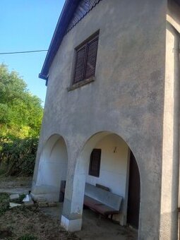 Patince /Modrany/ - Chata v vinohradom na predaj