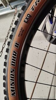 MAXXIS Minion