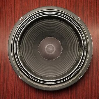 Marshall Celestion Gold Back