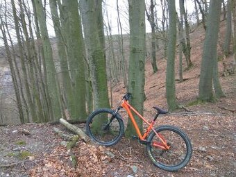 vymenim za downhill zjazdak