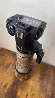 Canon EOS 600D + Tamron 150-600mm f/5-6.3 Di VC USD
