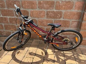 Scott Contessa 24