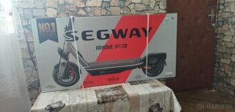segway 1000w