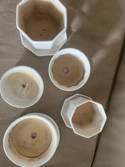 Črepniky bielej farby