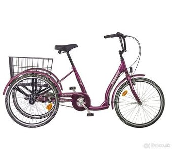 LIBERTY COMFY Trojkolka 24" 3spd 2024