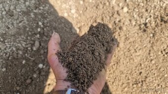 Preosiata ornica 0902 867 270