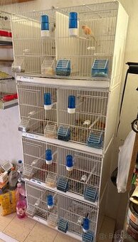 Predám chovné klietky