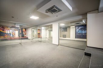 Obchodný priestor, kancelárie, byt 636 m2, v centre mesta BA