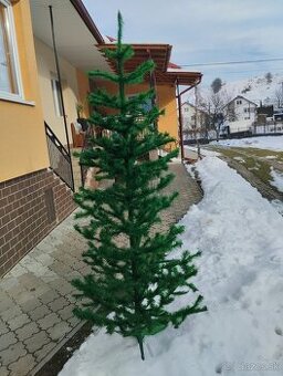 Vianočný stromček