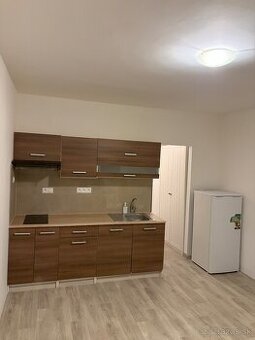 Garsonka s balkonom + pivnica