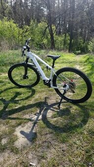 kellys tayen R50